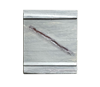christian thumb